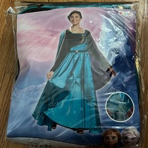 Princess Anna from Frozen Adult costume size L